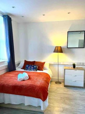 Spacious Studio flat in Central London